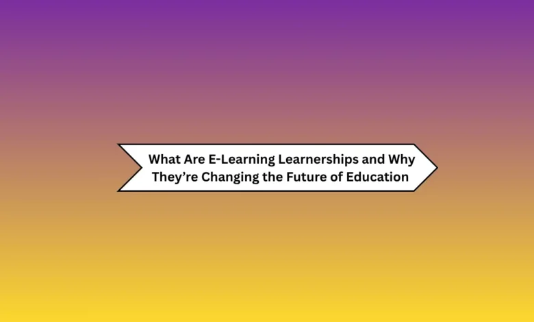 E-Learning Learnerships