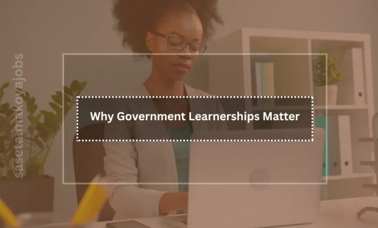 Why Government Learnerships Matter