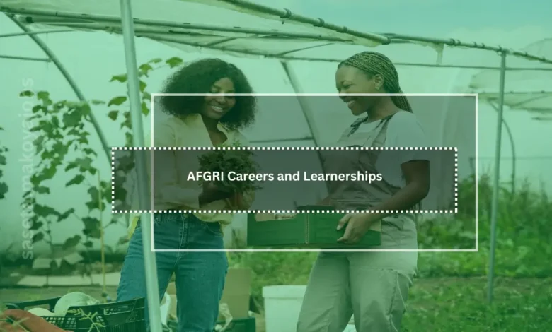 careers and learnerships