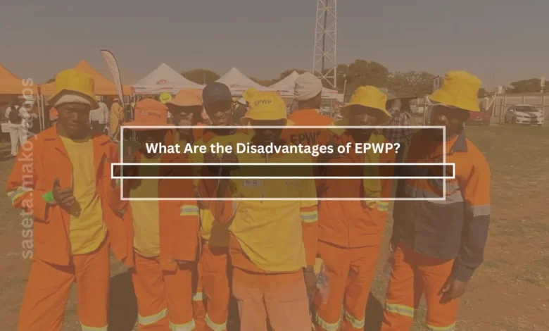 Disadvantages of EPWP