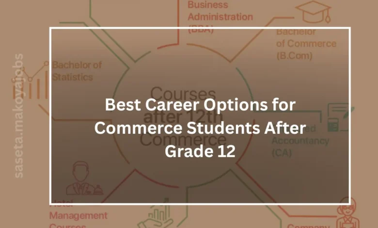 Best Career Options